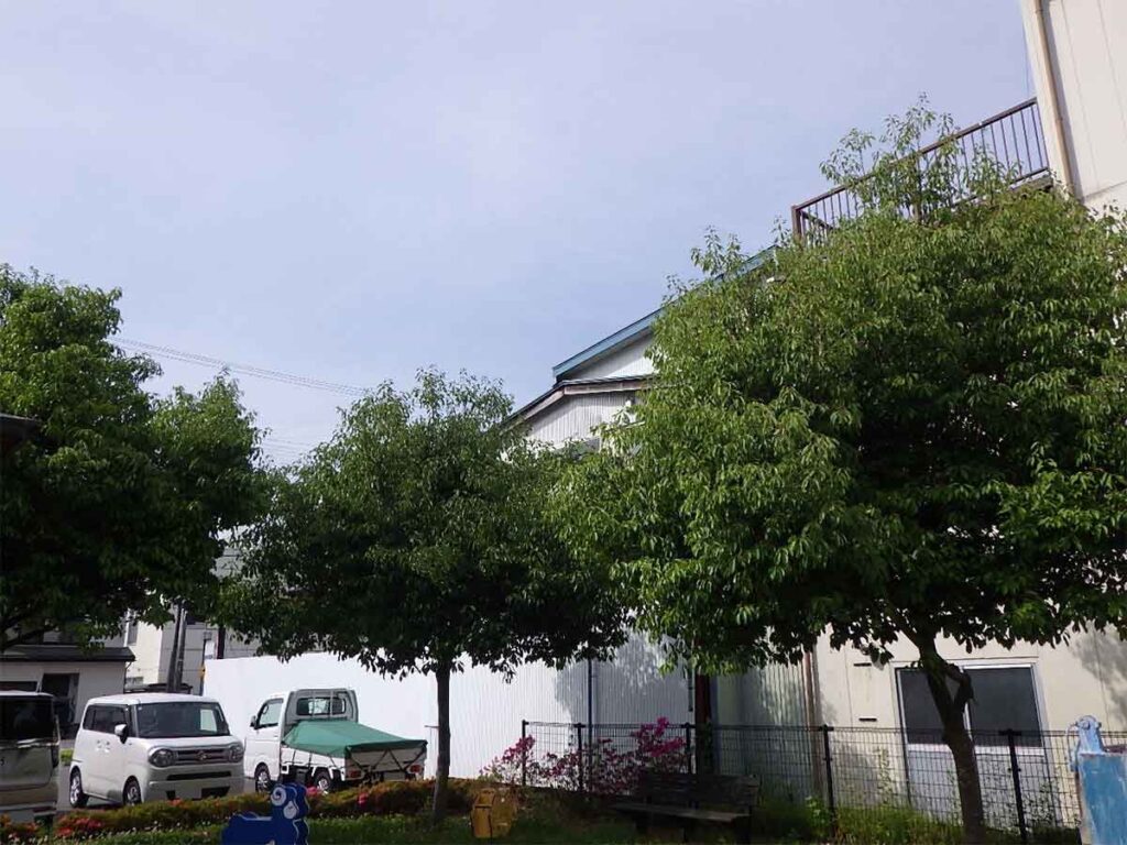 新町旬彩広場